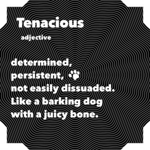 tenacious
